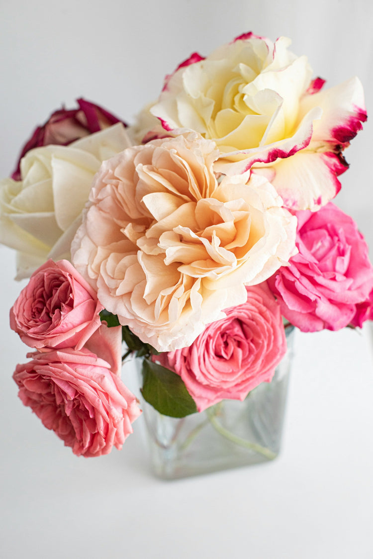 Today's Blooms
