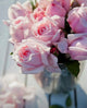 Nahema Rose